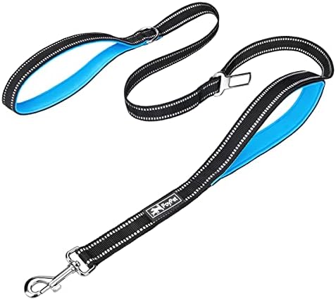 PoyPet 5 Feet Dog Leash with 2 Cushioned Handles (Blue)