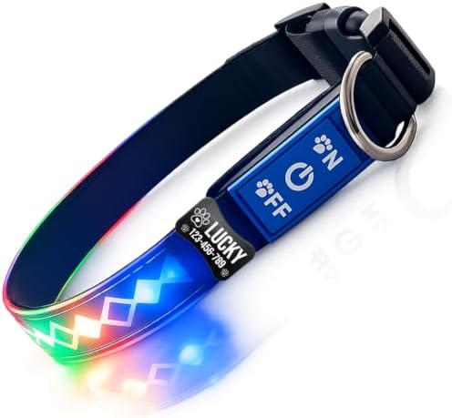 Personalized Flashing Dog Collar with Laser Engraved ID Tag