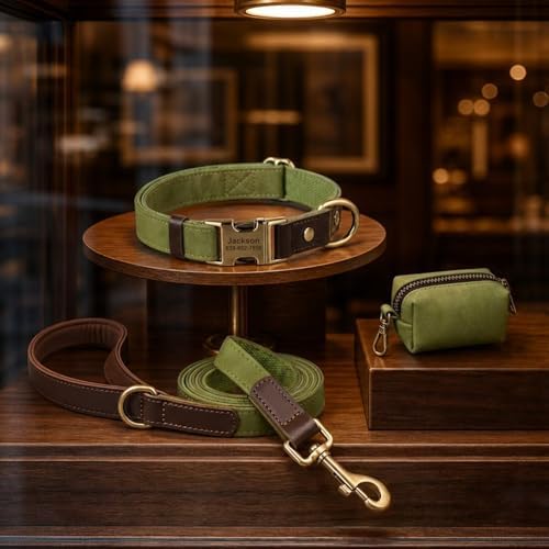 Personalized Dog Collars, Quick Release Buckle, Olive Green,M
