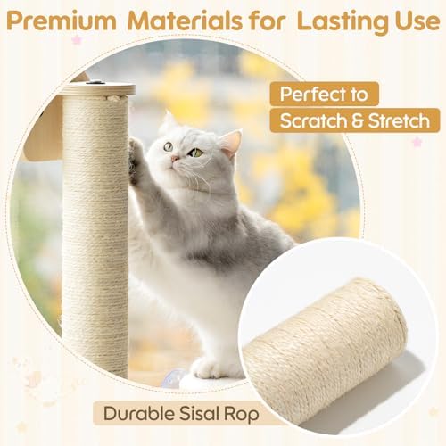 EDAGNY Cat Window Perch Cat Platform Scratching Sturdy for Climbing, 3 Pcs