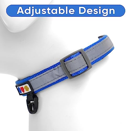 Pawtitas Personalized Reflective Padded Dog Collar with Name Phone Number - Adjustable, Customized for Large Dogs - Blue