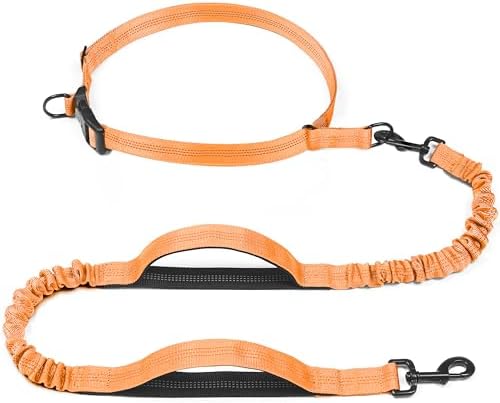 iYoShop Retractable Hands Free Dog Leash, Medium/Large, 25-150 lbs, Orange
