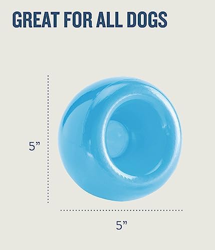 Outward Hound Snoop Interactive Treat Dispensing Dog Toy, Blue, 5"