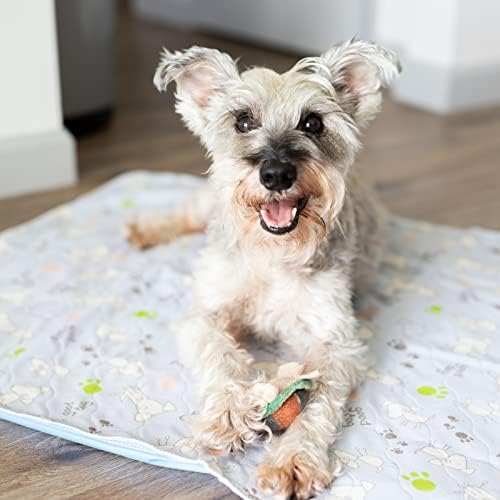 Washable Puppy Pads, Dog Pee Pad, Reusable 2 Pack, Large 28 in x 31 in, 5 Layer Quilted, Durable, Whelping Pads, Potty Training Pet Pads for Environmentally Conscious Dog Owners