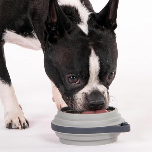 Cleverpup Nomad Small Collapsible Travel Dog Bowl - 2 Cup, Grey Silicone