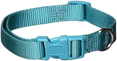 Zack & Zoey ⅝" Wide Nylon Dog Collar, Fits Necks 14" to 20", Bluebird