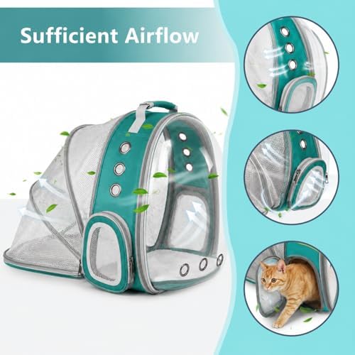 Expandable Cat Carrier Backpack with Bubble Window, Green
