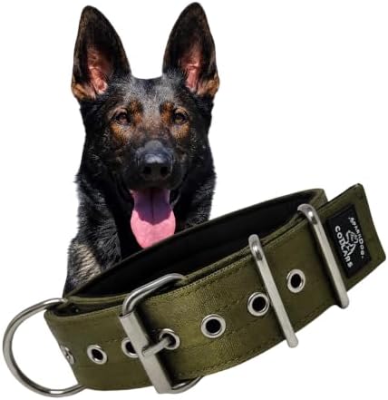 SparkDog Padded Working Dog Collar (Military Green, 2" Padded (16-21" Neck)