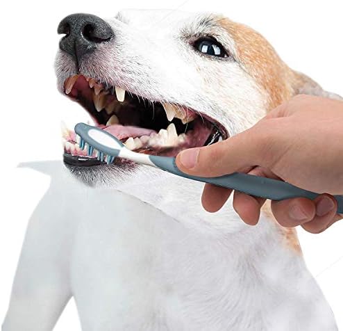 Nylabone Advanced Oral Care Senior Dog Dental Kit Small Dog