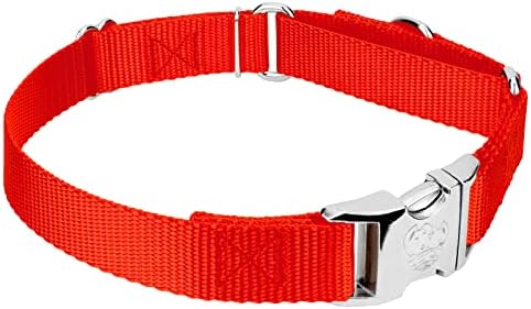 Country Brook Petz - Martingale Dog Collar - Heavy Duty Nylon Adjustable Martingale Dog Collar with Metal Buckle for Small Medium Large Breeds - 30+ Color Options (1 Inch, Medium, Hot Orange)