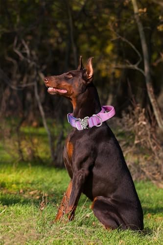 Thick Tactical Heavy Duty Dog Collar with Handle for Large Dogs (Pink)