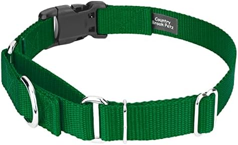 Martingale Dog Collar - Heavy Duty Nylon Adjustable Martingale Dog Collar with Plastic Buckle for Small Medium Large Breeds - 30+ Colors (5/8 Inch, Extra Small, Christmas Green)