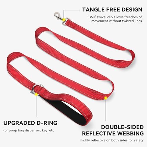 Joytale Reflective Dog Leash for Small Dogs, 4 FT x 3/4", Red