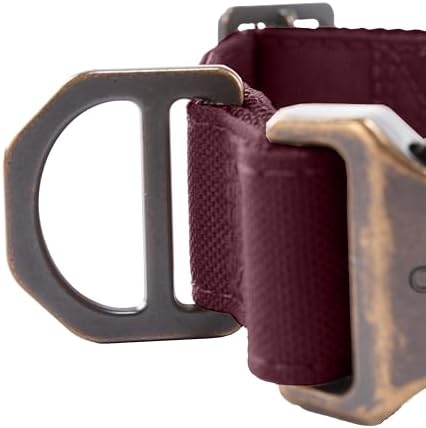Carhartt Field Nylon Dog Collar Port Large