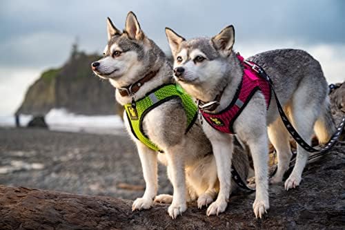 EcoBark Step in Dog Harness Reflective Soft Ultra Padded Mesh Dog Harnesses for XXS, XS, Small, and Medium Dogs Eco-Friendly Comfort Secure Halter No Pull Adjustable Pet Vest