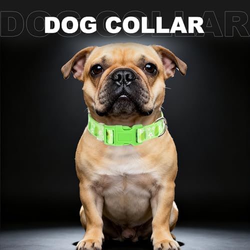 Nylon Dog Collar for Medium Dogs,Soft Nylon Dog Collar with Cute Avocado-M