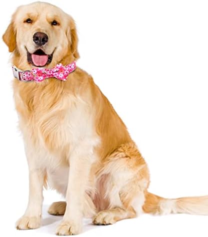 Personalized Dog Collar with Bow Tie - Birthday Custom Dog Collar Flower with Metal Buckle Adjustable Cute Collar for Girl Puppy Small Medium Large Dog