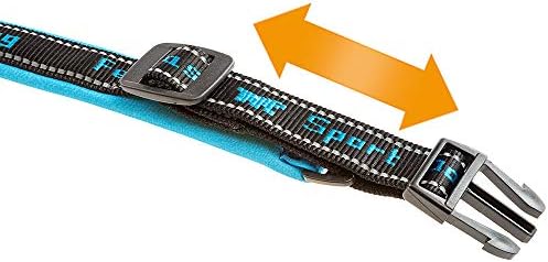 Ferplast Sport Dog Collar, Large Dog Collar, Soft Padded, Reflective Stitching, Pet Name Tag, Size: 2.5 cm (55-65 cm), Blue