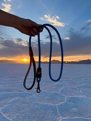 ShawnCo Basecamp Rope Dog Leash (Moonglow, 5 Feet)
