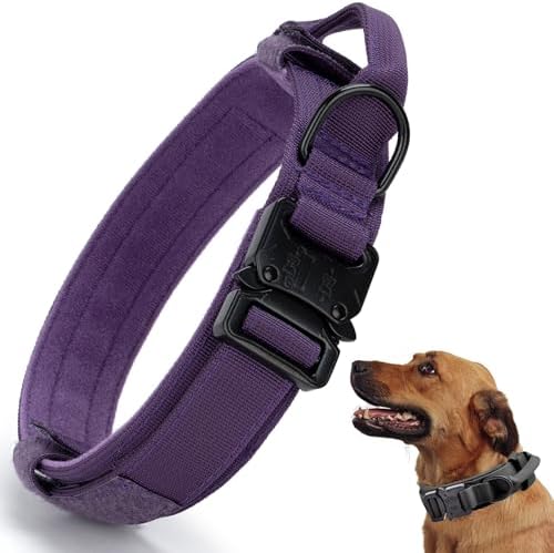 Tactical Dog Collar, Adjustable Military Training Nylon Pet Collar,Purple XL