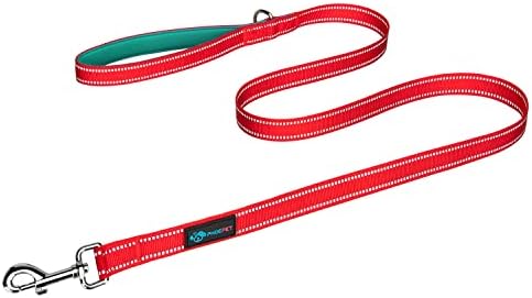 PHOEPET 5 Feet Dog Leash - Dual-Side Reflective - Soft Padded Handle