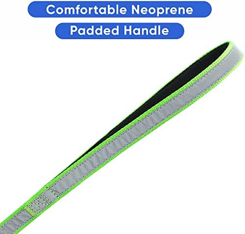 Pawtitas Personalized Green Dog Leash 6 ft Custom ID Lead for Dogs & Puppies Reflective Comfortable Padded Handle Embroidered Name & Phone Number