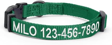 Pawtitas Personalized Large Dog Collar - Embroidered with Name & Phone Number - Adjustable Customized Collar for Large Dogs & Puppies - Green