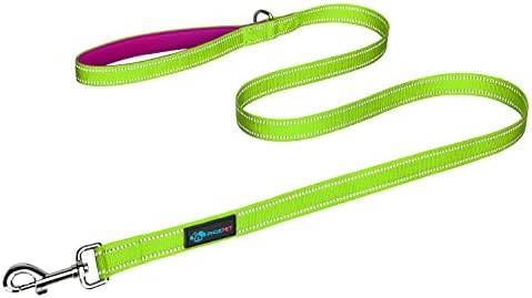 PHOEPET 5 Feet Dog Leash with Comfortable Padded Handle Easy Snap Clasp