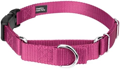 Martingale Dog Collar - Heavy Duty Nylon Adjustable Martingale Dog Collar with Plastic Buckle for Small Medium Large Breeds - 30+ Colors (3/4 Inch, Small, Rose)
