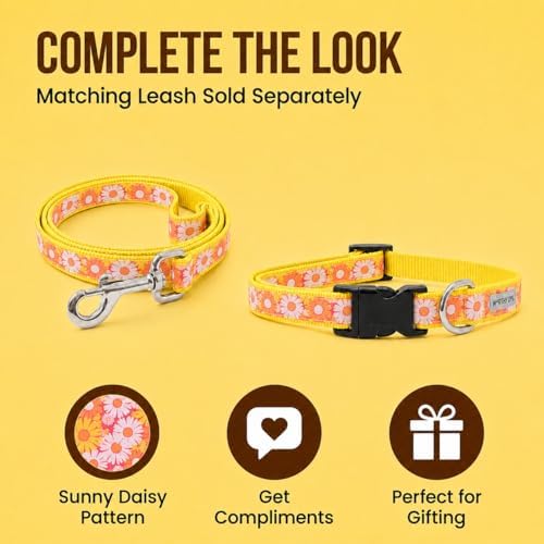 THE WORTHY DOG Summer Print, Adjustable Dog Collar, Small Dogs, Floral