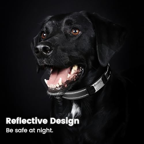 Personalized Dog Collars - Adjustable Reflective Dog Collar with Name Tag Engraved, Soft Neoprene Padded Breathable Nylon Dog Collar for Small/Medium/Large Dogs, Black, L