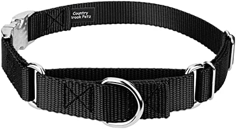 Country Brook Petz - Martingale Dog Collar - Heavy Duty Nylon Adjustable Martingale Dog Collar with Metal Buckle for Small Medium Large Breeds - 30+ Color Options (1 Inch, Large, Black)