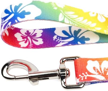 Country Brook Petz - Hawaiian Rainbow Everyday Dog Leash - Summer Breeze Collection Featuring Sunny Designs (5/8 Inch, 6 Foot)