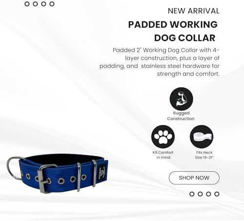 SparkDog 2" Padded Working Dog Collar (Blue, 2" Padded (16-21" Neck)
