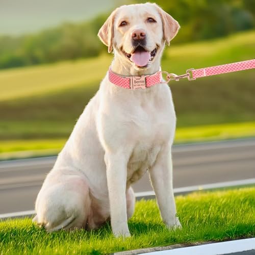 Personalized Plaid Dog Collar with Glitter