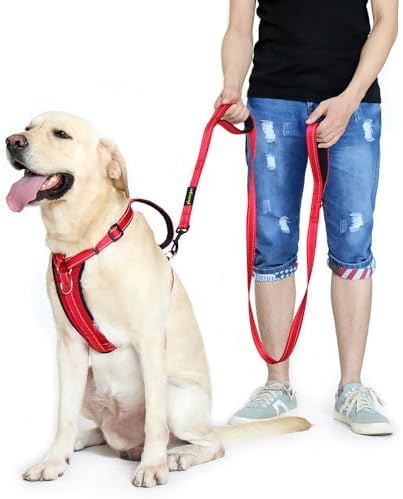 Plutus Pet Double Handle Dog Leash, 6 FT Long, for Medium Large Dogs
