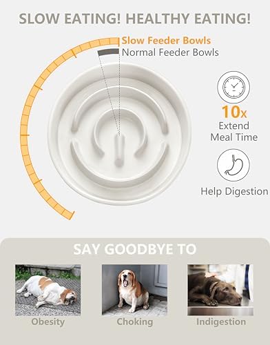 Ceramic Slow Feeder Bowls for Large Dogs, 3.0 Cups Slow Feeder for Fast Eaters, 48oz, 10in, White