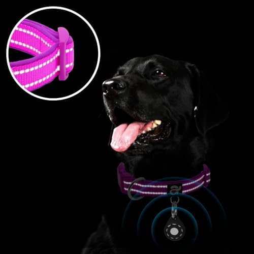 azuza Airtag Dog Collar, Large Dog Collar with Airtag Holder, Purple, L