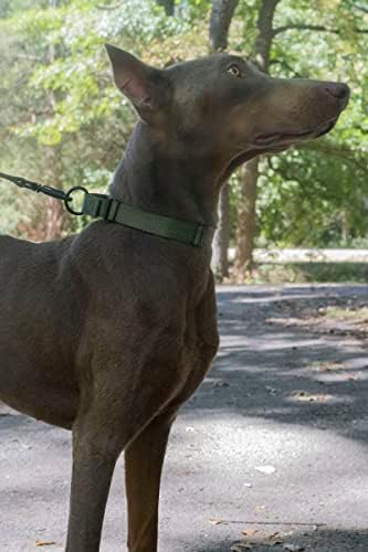 Martingale Dog Collar - Heavy Duty Nylon Adjustable Martingale Dog Collar with Plastic Buckle for Small Medium Large Breeds - 30+ Colors (3/4 Inch, Small, Dark Olive Drab)