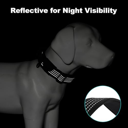 Plutus Pet Tactical Dog Collar with Pocket for AirTag, Black, S