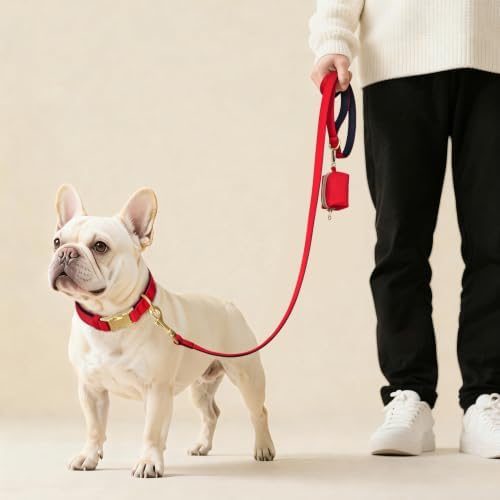 Didog Soft Padded Dog Collar for Medium Dogs, Red, M Neck 14-18"