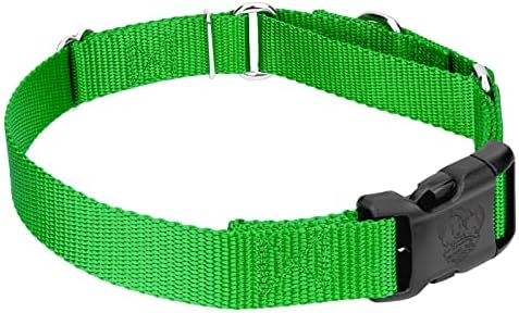 Martingale Dog Collar - Heavy Duty Nylon Adjustable Martingale Dog Collar with Plastic Buckle for Small Medium Large Breeds - 30+ Colors (1 Inch, Large, Hot Lime Green)
