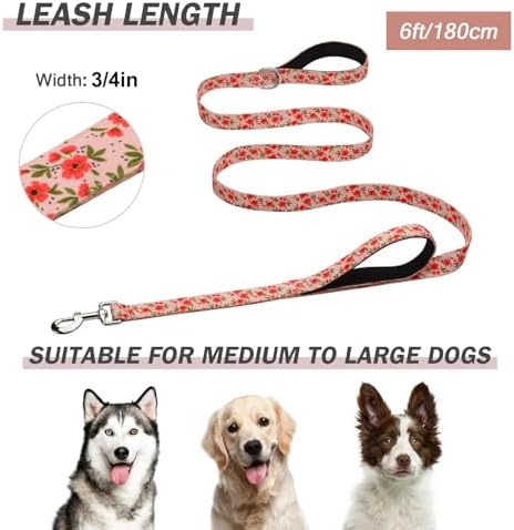 Hikiko 6FT Dog Leash Padded Double Handle with Designed Pattern