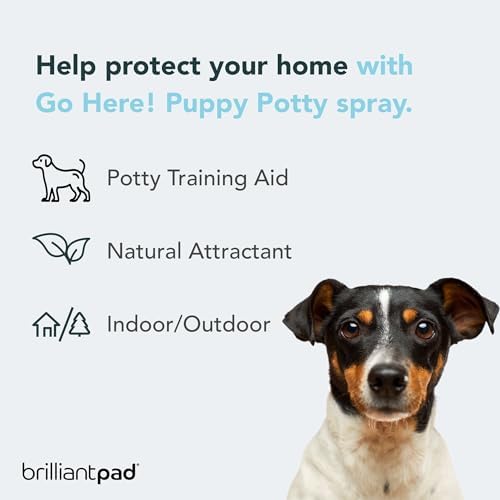 BrilliantPad Go Here! Puppy Potty Training Spray, Natural Attractant (4 oz)