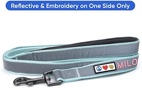 Pawtitas Personalized Teal Dog Leash 6 ft Custom ID Lead for Dogs & Puppies Reflective Comfortable Padded Handle Embroidered Name & Phone Number