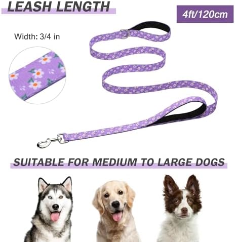 Hikiko 4FT Dog Leash Padded Double Handle with Designed Pattern