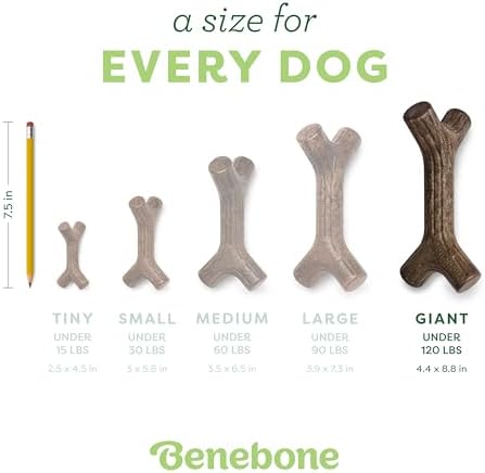 Benebone Maplestick Dog Chew Toy, Real Maplewood, Giant