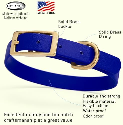 Viper Biothane Heavy Duty Waterproof Dog Collar Strong Coated Nylon Webbing w/Solid Brass Hardware Odor-Proof Easy to Clean High Performance Fits Small Medium or Large Dogs, Blueberry Royal