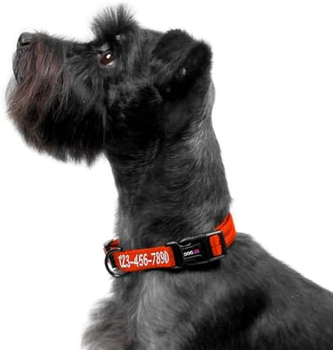 Dogline Orange Customizable Personalized Nylon Collar (W: 3/4" L: 13"-20")