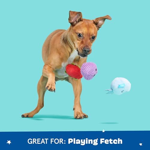 BarkBox Wild Berry Bunch 3-in-1 Interactive Plush Dog Toy
